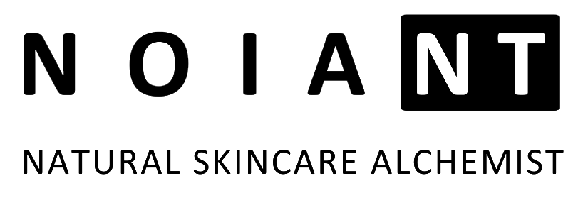 noiant logo